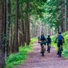 Mountain bikes