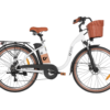 DYU C6 Pro 26 Inch City Electric Bike