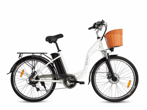 DYU C6 26 Inch City Electric Bike
